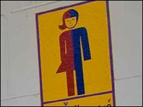 Yellow bathroom sign picturing a figure of a human whose red right side has a skirt and long hair and whose blue left side has short hair and pants.